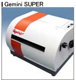 Gemini